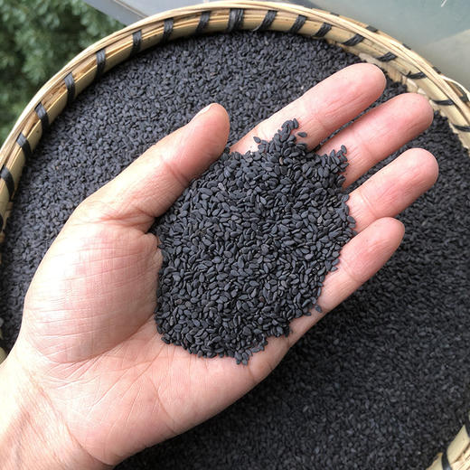 黑芝麻 商品图2