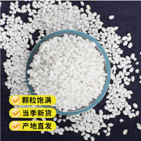 散称圆糯米【约500g】