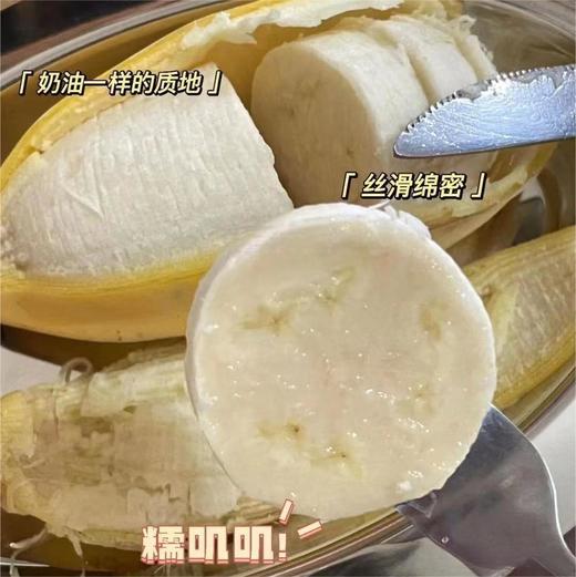 上琯 小胖香蕉 |水果 商品图0