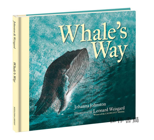 Whale's Way / 鲸鱼的方式 商品图1