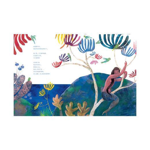 鹦鹉和美人鱼 商品图2