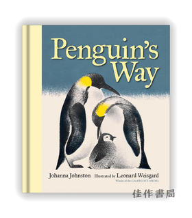 Penguin's Way / 企鹅的方式