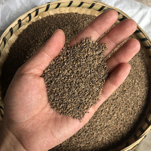 地肤子 常用规格 地夫子颗粒 商品图2