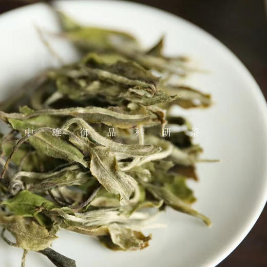 福鼎白茶| 中雄御品2022年雪芽白牡丹一级250g 商品图2