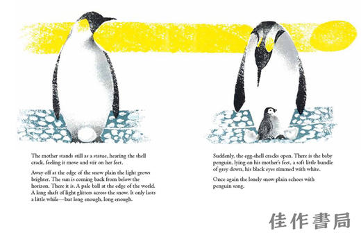 Penguin's Way / 企鹅的方式 商品图2