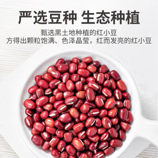 散称红豆【约500g】 商品图1