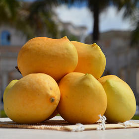 缅甸圣德龙芒果 1000g/份