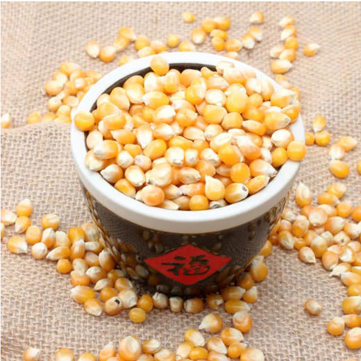 散称爆玉米【约500g】 商品图1