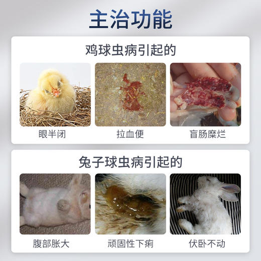 兽药地克珠利预混剂 体内驱虫 鸡冠发白 羽毛松散 预防禽、兔球虫病 商品图2