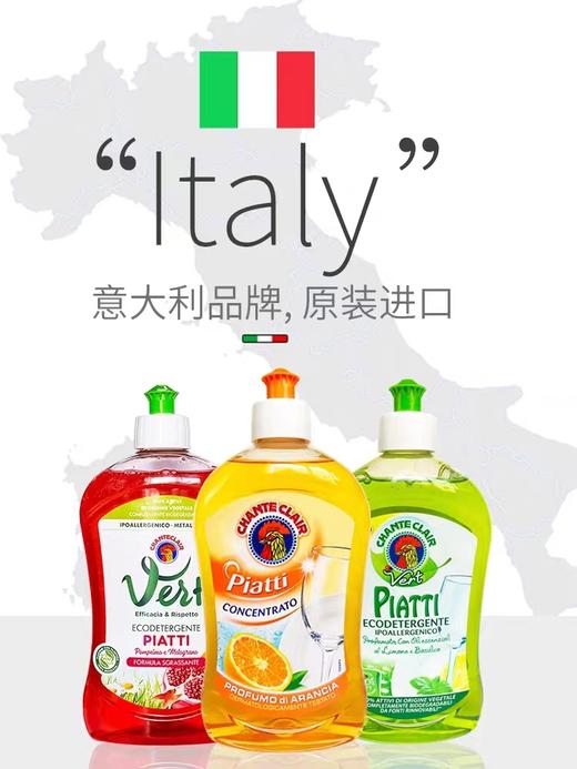 大公鸡管家浓缩洗洁精500ml 商品图2