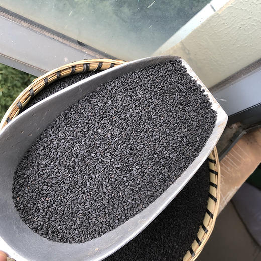 黑芝麻 商品图3