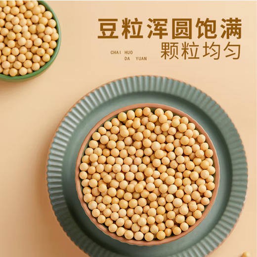 散称黄豆【约500g】 商品图0