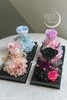新款透明永生花花房 商品缩略图0