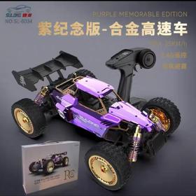 G-SL-6034 速龙 1:14紫金版合金高速遥控车