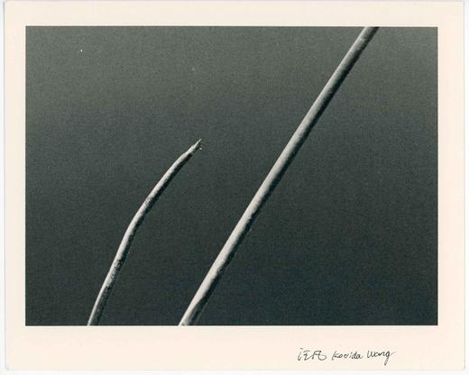 汪凡丨季节的符号 商品图0