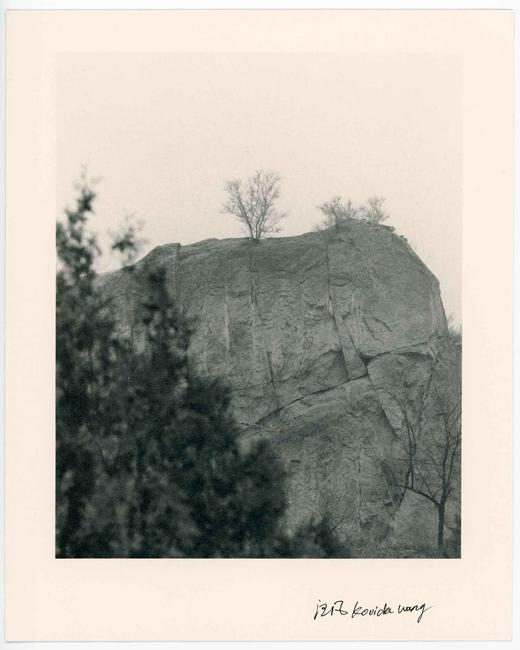 汪凡丨植物与崖 （⼀） 商品图0