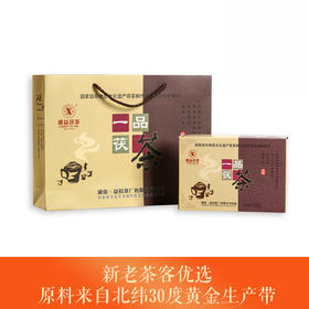 黑茶 湘益 一品茯茶2020年  400g
