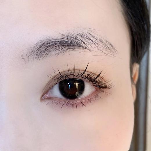 Gugucon品牌日抛-咕咕黑（小黑环） 商品图2