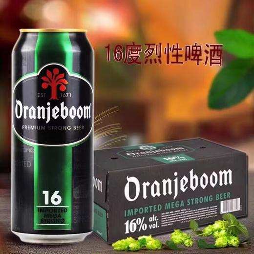 （24瓶整箱）橙色炸弹Oran Jeboom 进口24°P烈性啤酒 500ml*24听/箱 商品图1