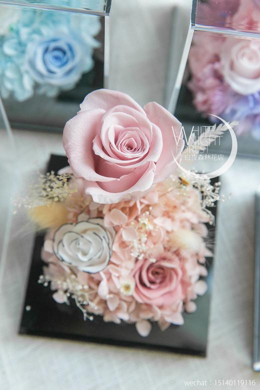 新款透明永生花花房 商品图7