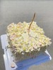 「节日特别款」母亲节 优雅方形奶油霜花 商品缩略图0
