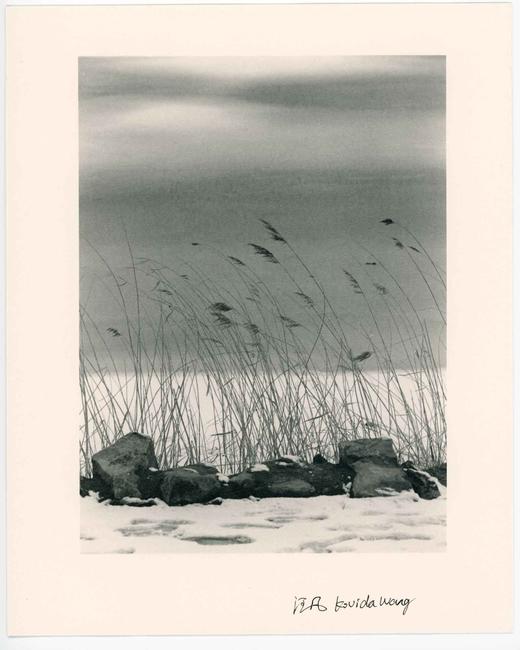 汪凡丨芦苇 (一) 商品图0