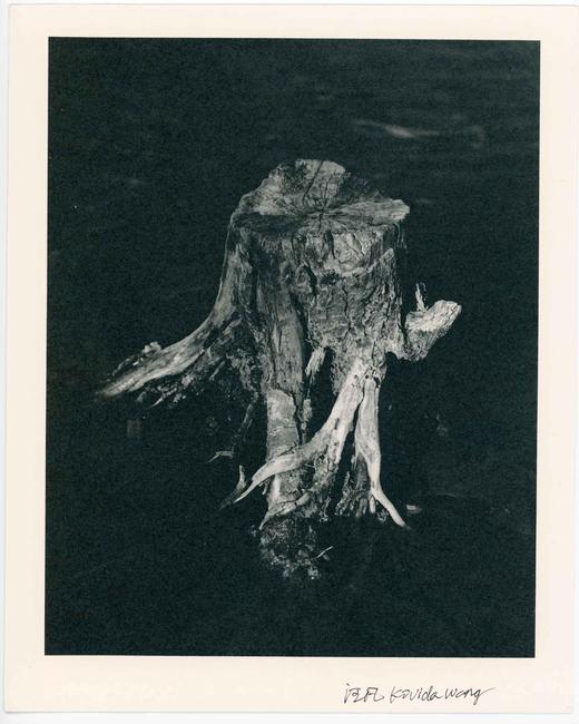 汪凡丨桩⼦ 商品图0