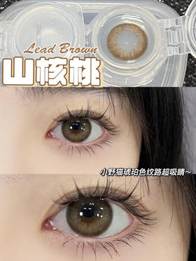 Lad Brown 山核桃【日抛】