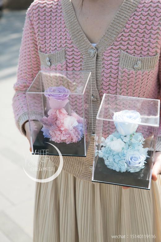 新款透明永生花花房 商品图5