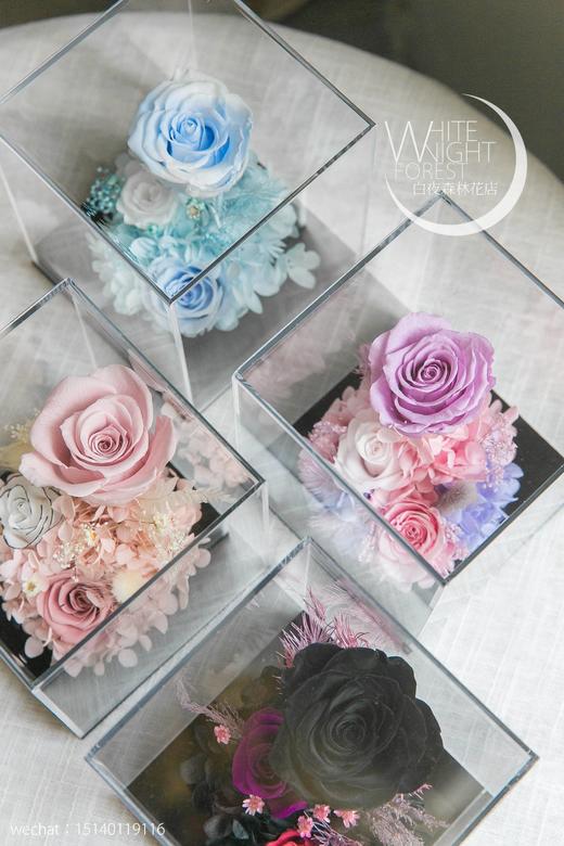 新款透明永生花花房 商品图1