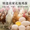 溏心变蛋30枚 商品缩略图2