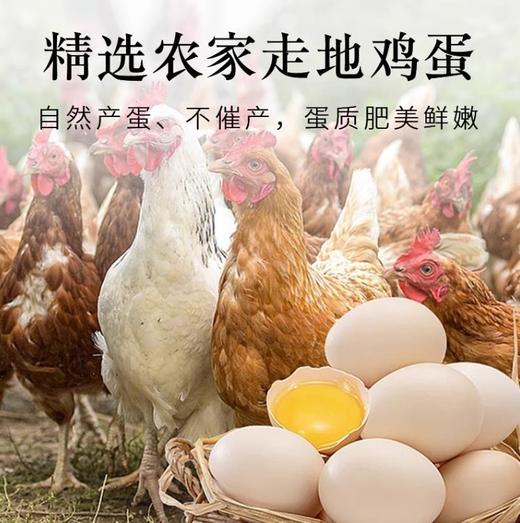 溏心变蛋30枚 商品图2