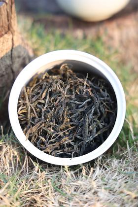 「景迈」千年万亩古茶园古树春茶