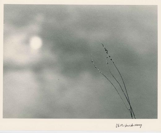 汪凡丨映像 商品图0