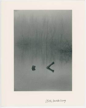 汪凡丨雾中的符号