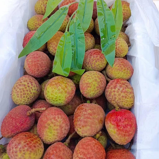 海南桂花荔枝，顶级老树果子！水润爆汁，还有浓郁的桂花香，白净嫩滑的果肉饱满充盈！750克/盒 商品图2