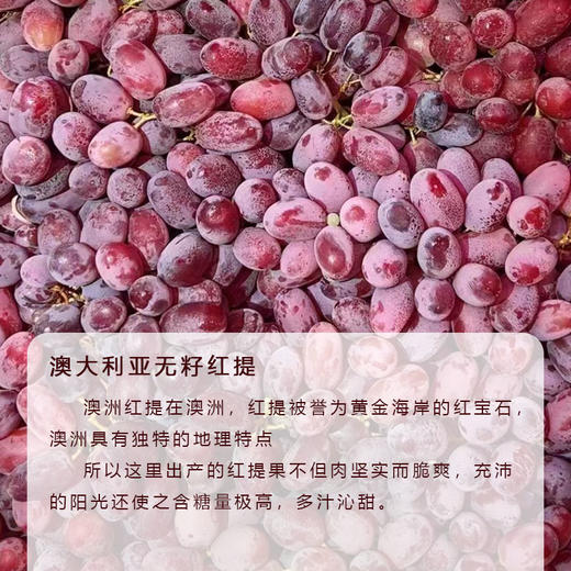 澳大利亚无籽红提 | 进口水果 商品图1