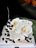 黑白裱花蝴蝶兰蛋糕（仿真花） 商品缩略图6