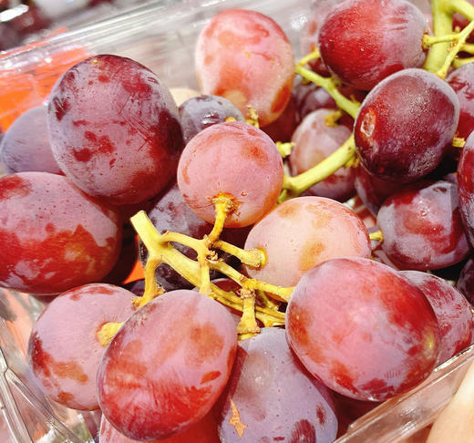 智利香水皇后 无籽红提 | 进口水果 商品图1