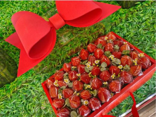 蝴蝶结草莓礼盒 商品图3