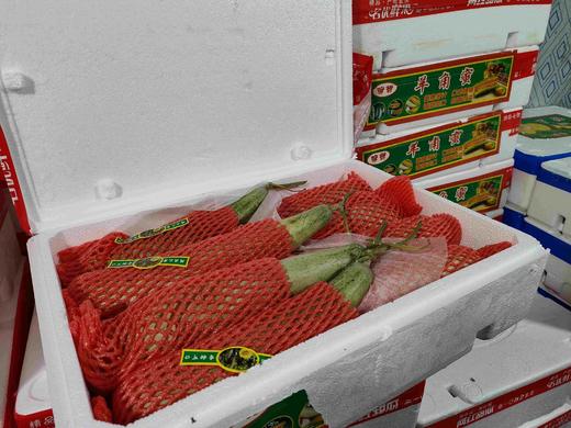 羊角蜜一箱38元 商品图0