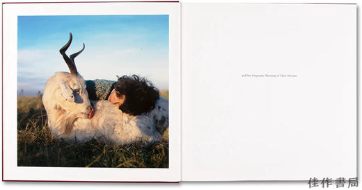 Alessandra Sanguinetti ：The Adventures of Guille and Belinda and The Enigmatic Meaning of Their Drea 商品图3