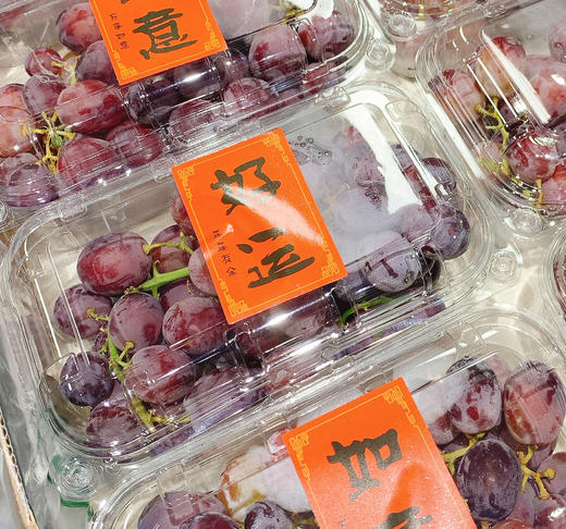 智利香水皇后 无籽红提 | 进口水果 商品图2