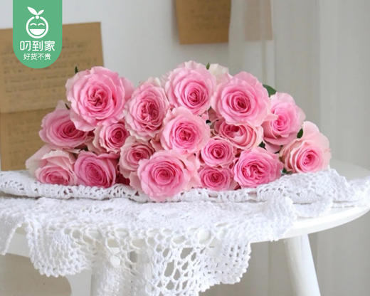 【预售-4月13日配送】洛神玫瑰（10支/扎） 商品图3