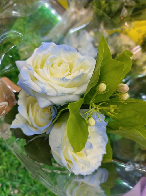 碎冰蓝玫瑰3支（拼团） 商品图1