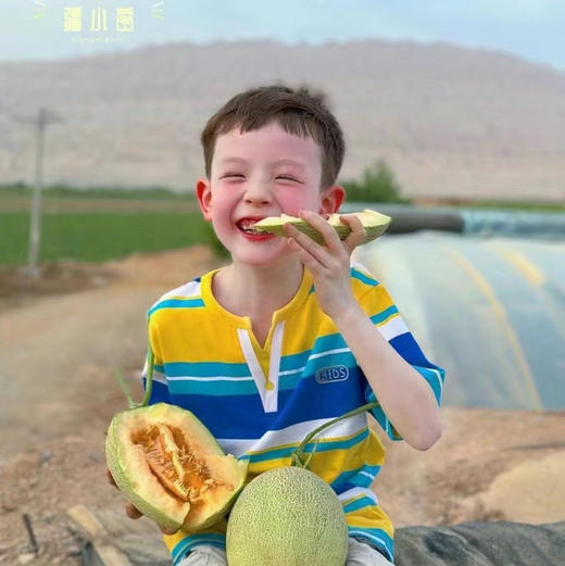 疆小密新疆哈密瓜
带着日夜兼程的风沙，带着吐鲁番的热情，皮薄肉厚、清脆爽口、甜脆多汁、可口香脆、蜜甜怡人，糖16+，甜！！净重7左右，2颗！阴凉通风处储存！ 商品图1