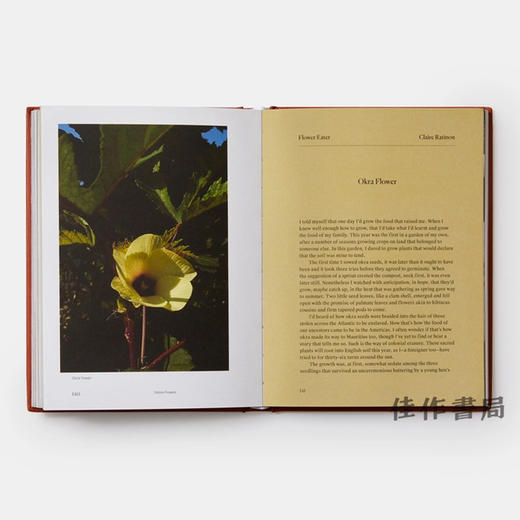 Edible Flowers: How、Why、and When We Eat Flowers / 食用花卉：我们如何、为什么以及何时食用花卉 商品图2