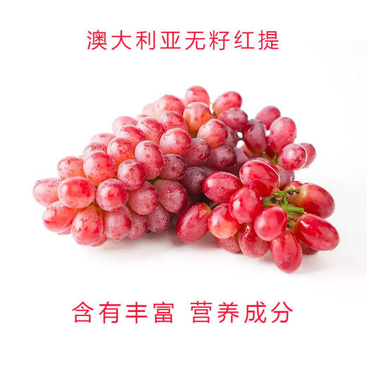 澳大利亚无籽红提 | 进口水果 商品图0