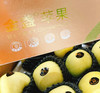 农夫吉采 金盏苹果 | 山东威海 水果 商品缩略图1