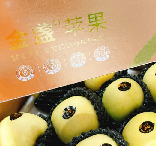 农夫吉采 金盏苹果 | 山东威海 水果 商品图1